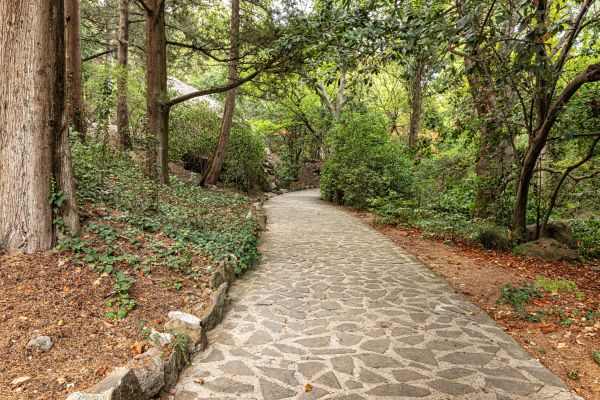 Stone Walkway Repair in Elkhart