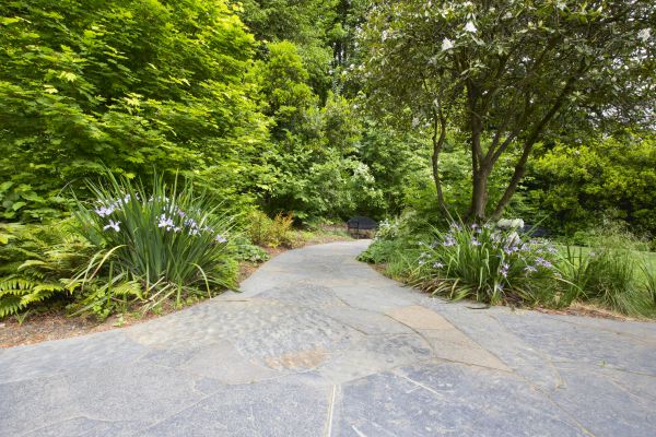 Stone Hardscape Service in Elkhart
